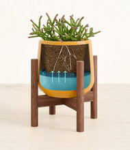 Load image into Gallery viewer, -