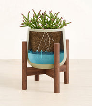 Load image into Gallery viewer, -