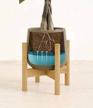 Load image into Gallery viewer, Olive stand:bamboo