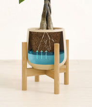 Load image into Gallery viewer, Almond Green stand:bamboo