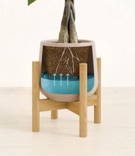 Load image into Gallery viewer, Eternal Gray stand:bamboo