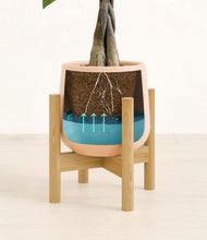 Load image into Gallery viewer, Gentle Pink stand:bamboo