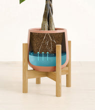 Load image into Gallery viewer, Calm Rose stand:bamboo