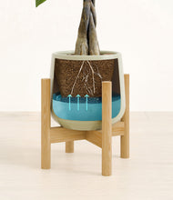 Load image into Gallery viewer, Turquoise stand:bamboo