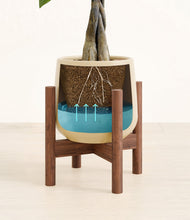 Load image into Gallery viewer, Almond Green stand:walnut