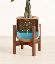 Load image into Gallery viewer, Calm Rose stand:walnut