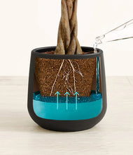 Load image into Gallery viewer, Black