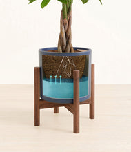 Load image into Gallery viewer, Deep Navy stand:walnut