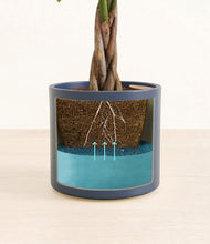 Load image into Gallery viewer, Deep Navy