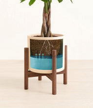 Load image into Gallery viewer, Cream stand:walnut