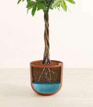 Load image into Gallery viewer, Earth Red