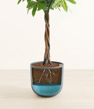 Load image into Gallery viewer, Iron Gray