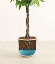 Load image into Gallery viewer, Natural Bamboo