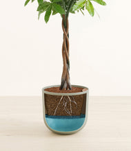 Load image into Gallery viewer, Sage Green