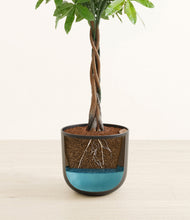 Load image into Gallery viewer, Stone Black