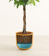 Load image into Gallery viewer, Sunset Orange