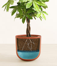 Load image into Gallery viewer, Earth Red