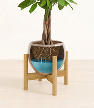 Load image into Gallery viewer, Desert Brown stand:bamboo
