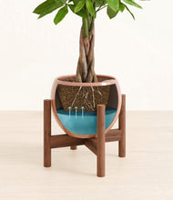 Load image into Gallery viewer, Calm Rose stand:walnut