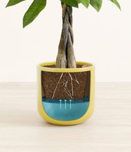 Load image into Gallery viewer, Key Lime Yellow