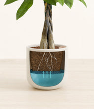 Load image into Gallery viewer, Cotton White