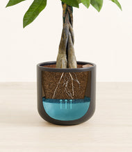 Load image into Gallery viewer, Stone Black