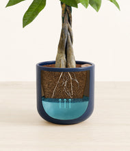 Load image into Gallery viewer, Twilight Blue