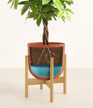 Load image into Gallery viewer, Earth Red stand:bamboo