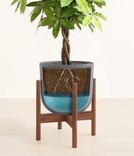 Load image into Gallery viewer, Iron Gray stand:walnut