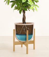 Load image into Gallery viewer, Sandy Pink stand:bamboo