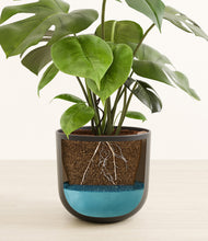 Load image into Gallery viewer, Stone Black