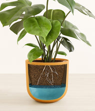 Load image into Gallery viewer, Sunset Orange