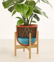 Load image into Gallery viewer, Earth Red stand:bamboo