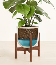 Load image into Gallery viewer, Natural Bamboo stand:walnut