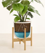 Load image into Gallery viewer, Natural Bamboo stand:bamboo