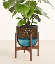 Load image into Gallery viewer, Stone Black stand:walnut