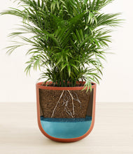 Load image into Gallery viewer, Earth Red