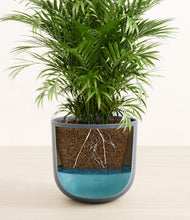 Load image into Gallery viewer, Iron Gray