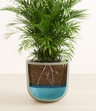 Load image into Gallery viewer, Sage Green