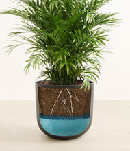 Load image into Gallery viewer, Stone Black