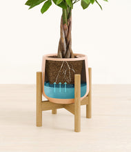 Load image into Gallery viewer, Gentle Pink stand:bamboo