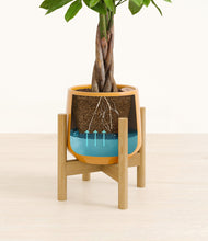 Load image into Gallery viewer, Mustard stand:bamboo