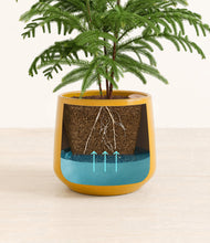 Load image into Gallery viewer, Mustard stand:all