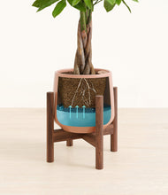 Load image into Gallery viewer, Calm Rose stand:walnut