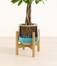 Load image into Gallery viewer, Turquoise stand:bamboo