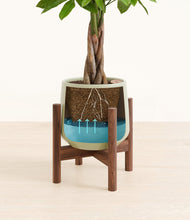 Load image into Gallery viewer, Turquoise stand:walnut