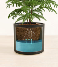 Load image into Gallery viewer, Black stand:all