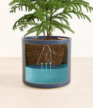 Load image into Gallery viewer, Deep Navy stand:all