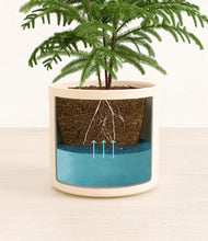 Load image into Gallery viewer, Cream stand:all