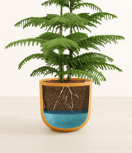 Load image into Gallery viewer, Sunset Orange stand:all